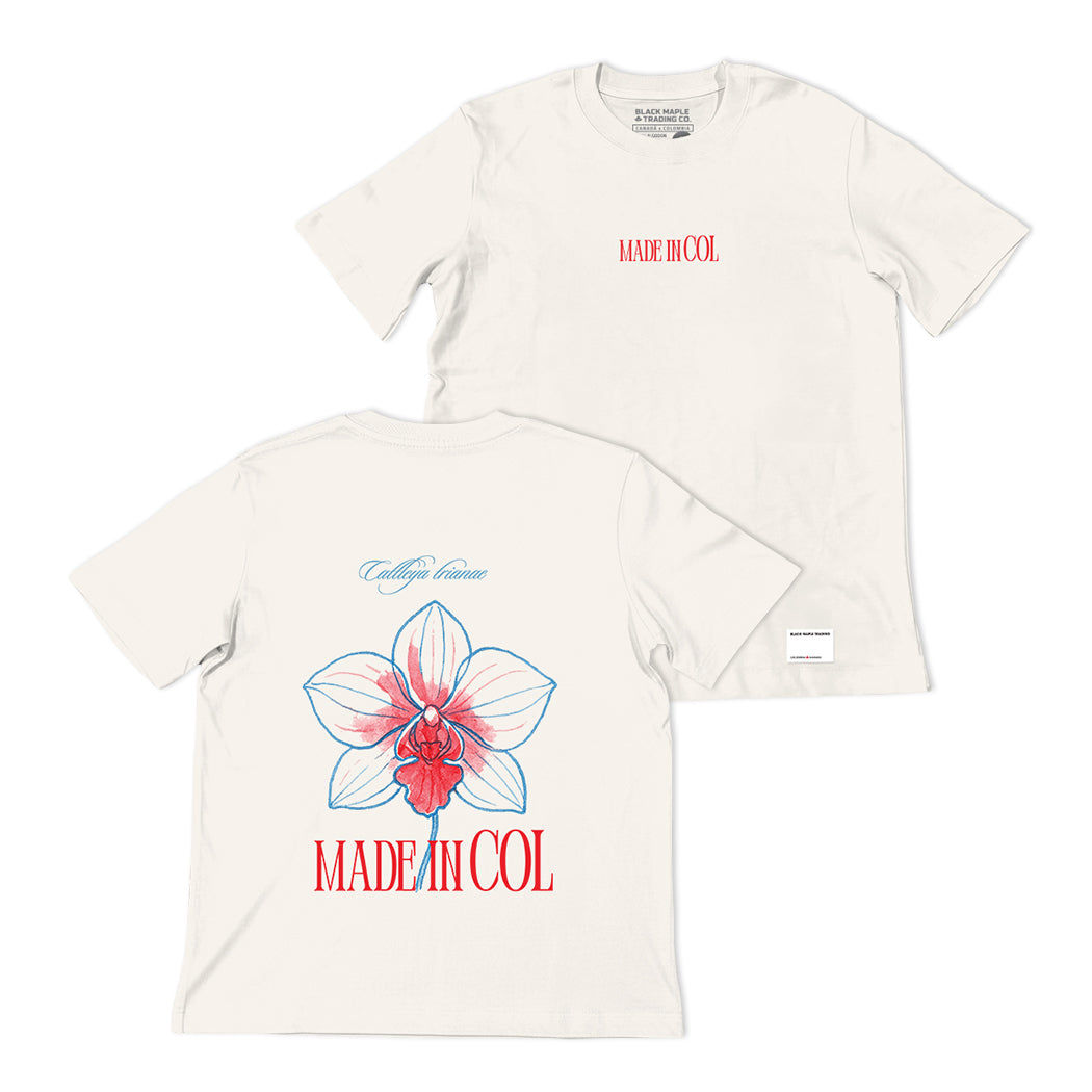 Raíz Nativa Premium Oversized