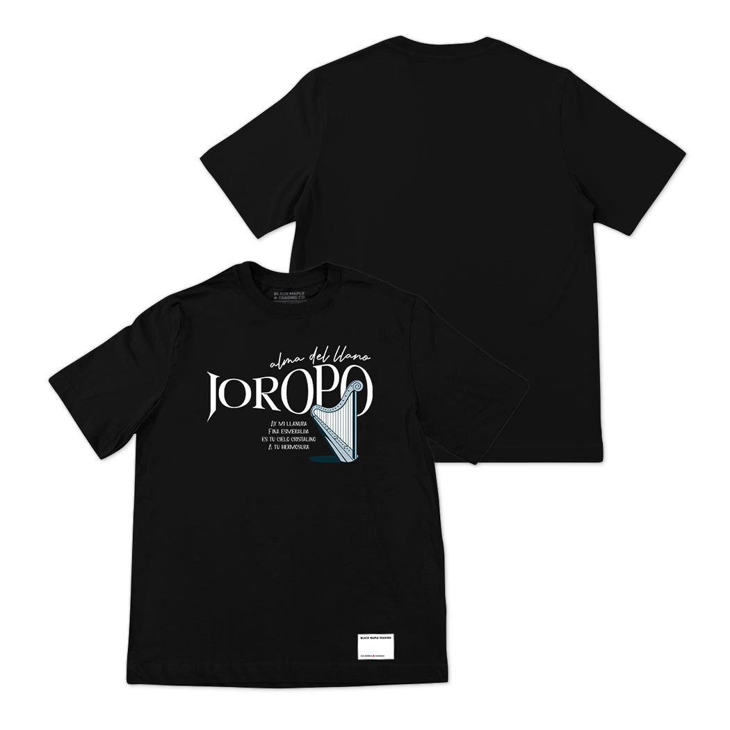 Sonido del Llano Basica