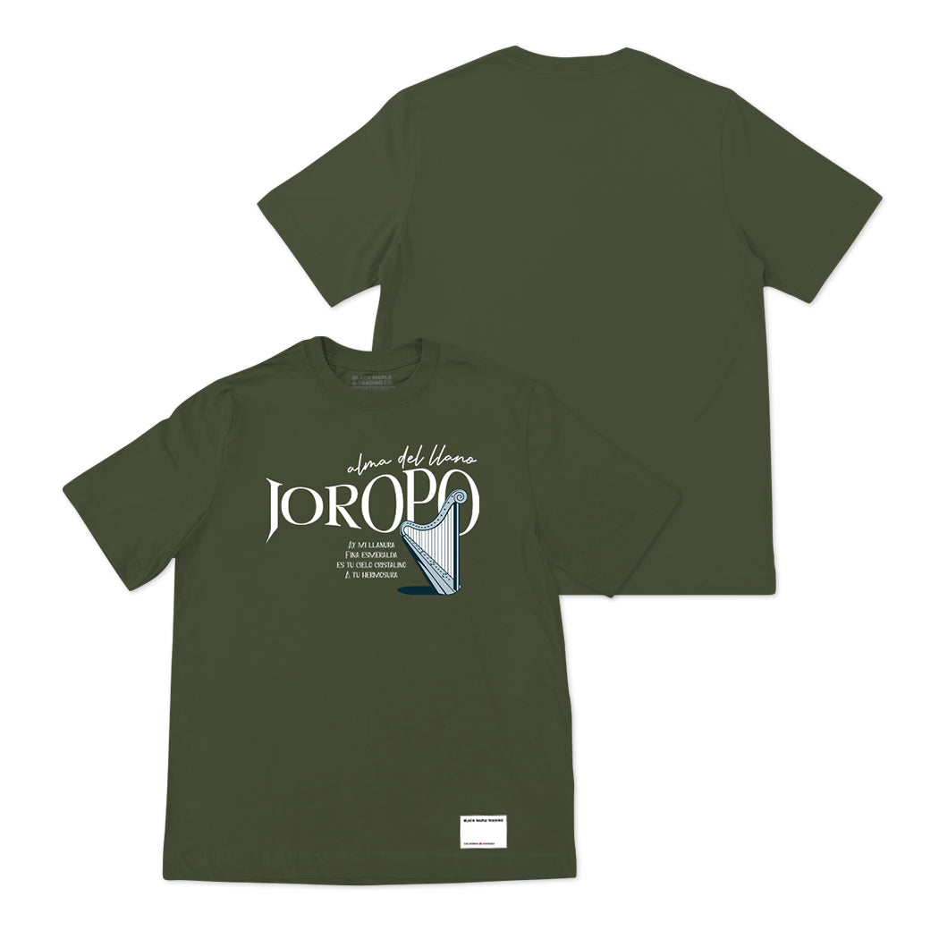 Sonido del Llano Basica