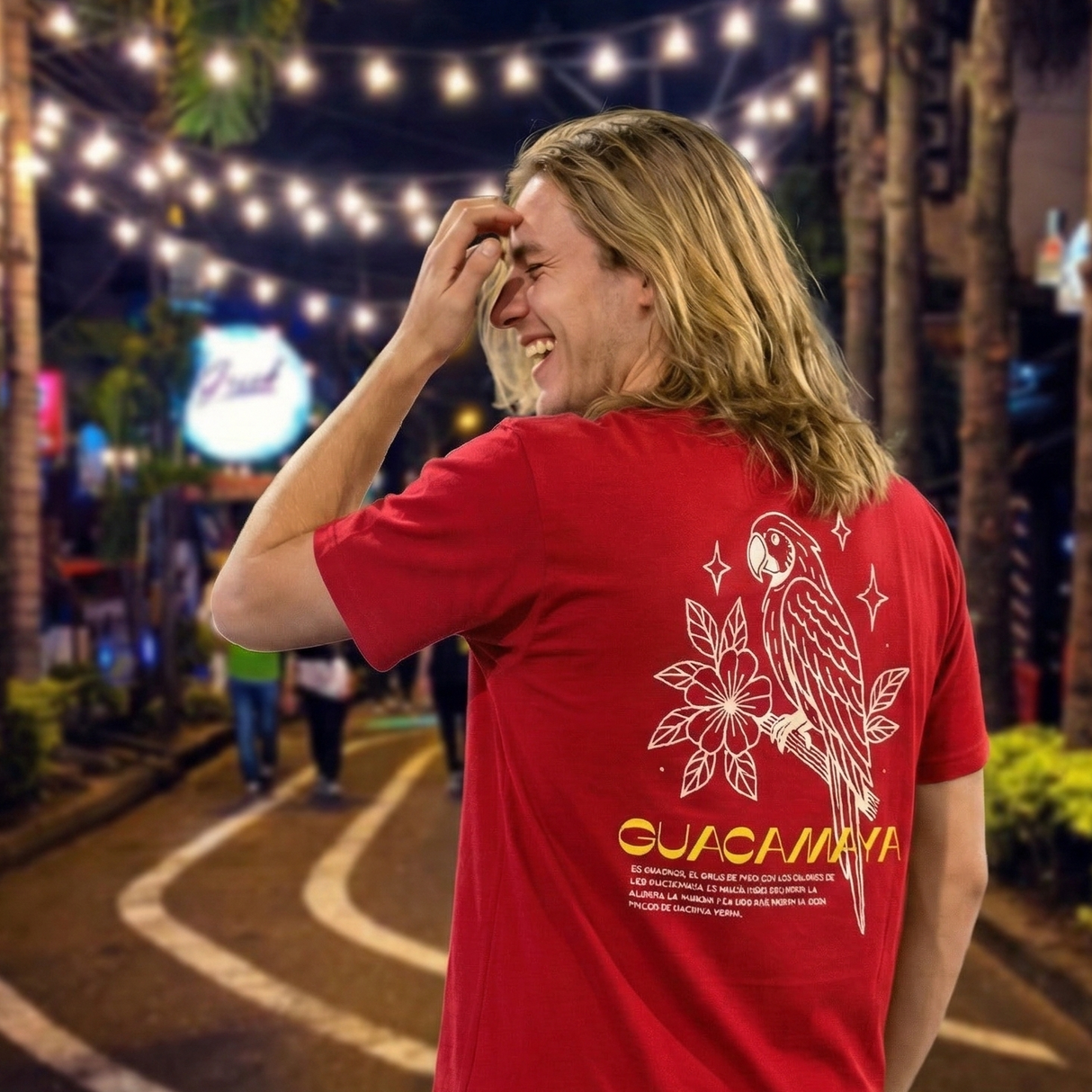 Vuelo Tricolor Basica