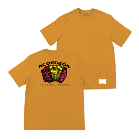 Aire de Acordeón Basica