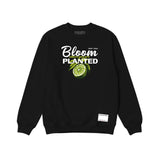 Bloom where you are planted Buzos