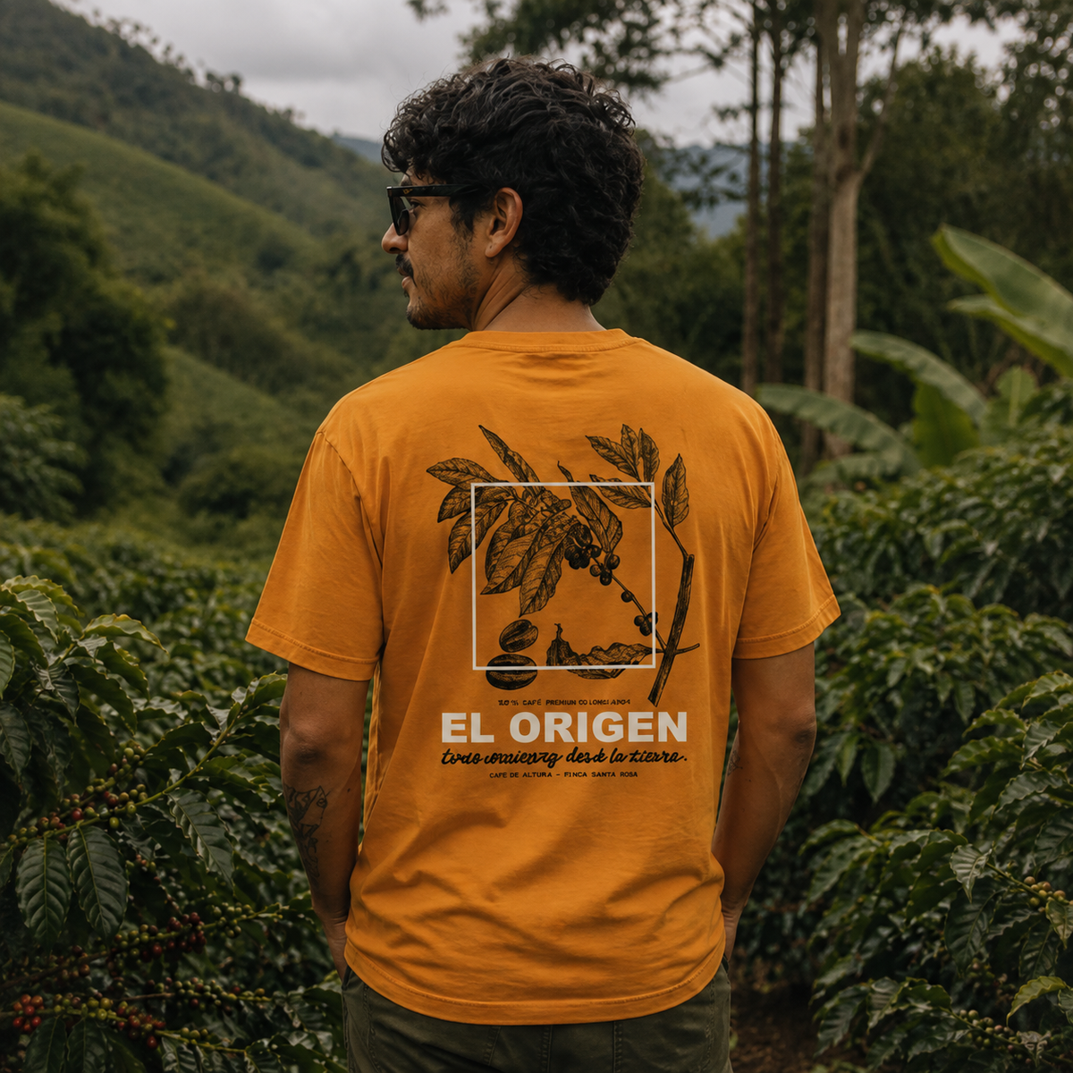 El origen del café Basica