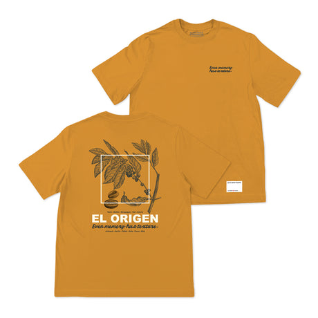 El origen del café Basica