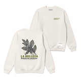La Belleza del café Buzos