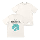 Primavera Eterna Basica