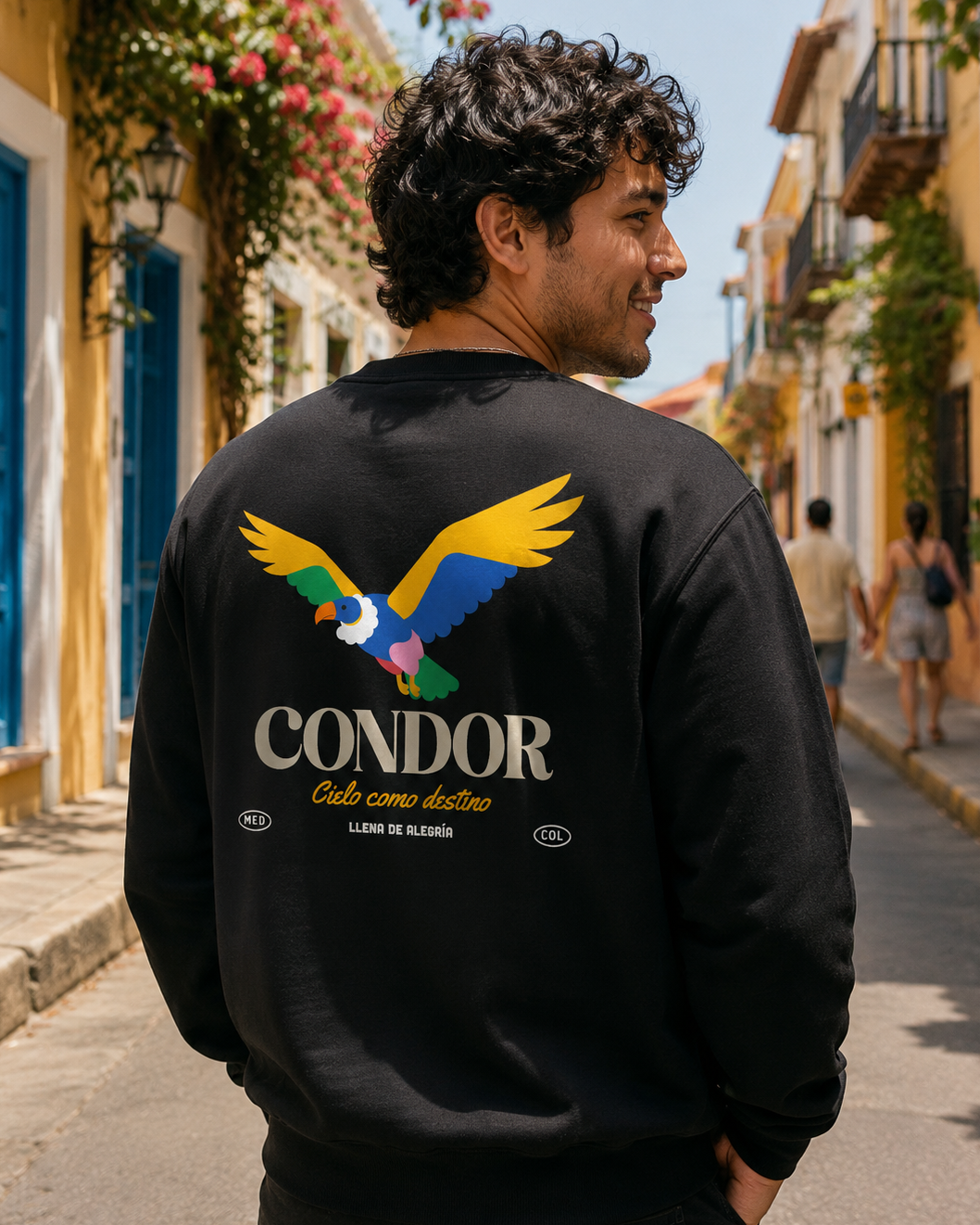 Rey de los Andes Pullover