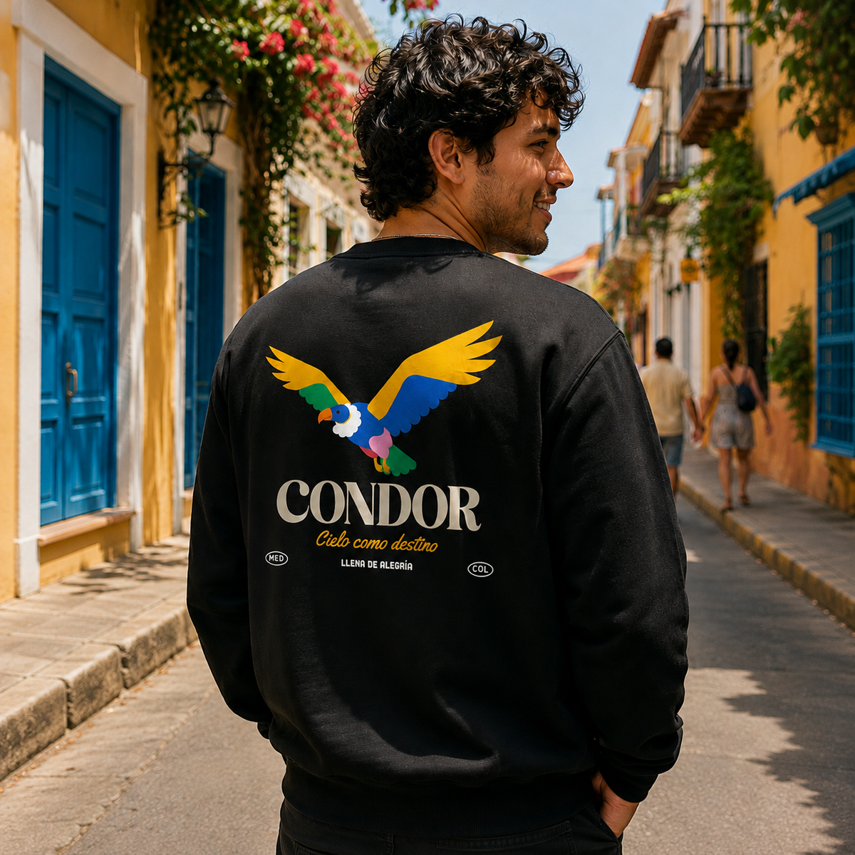 Rey de los Andes Pullover