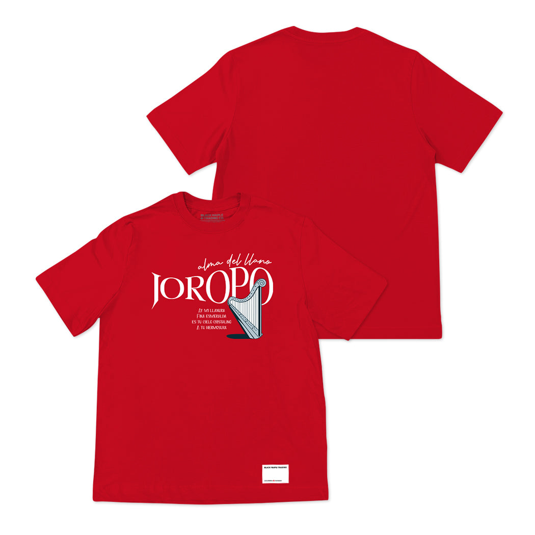 Sonido del Llano Basica