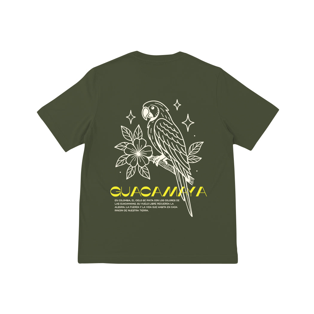 Vuelo Tricolor Basica