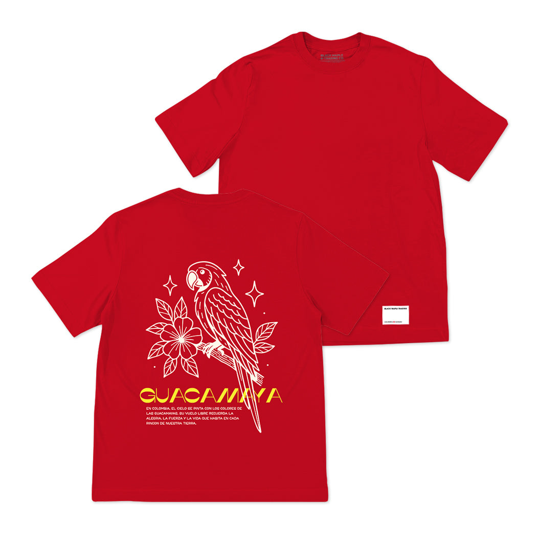 Vuelo Tricolor Basica